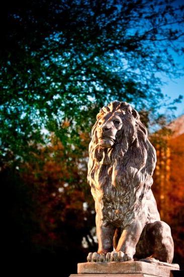 A lion statue at A&M-Commerce